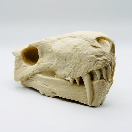 Inostrancevia alexandri skull replica, 3D printed in PLA