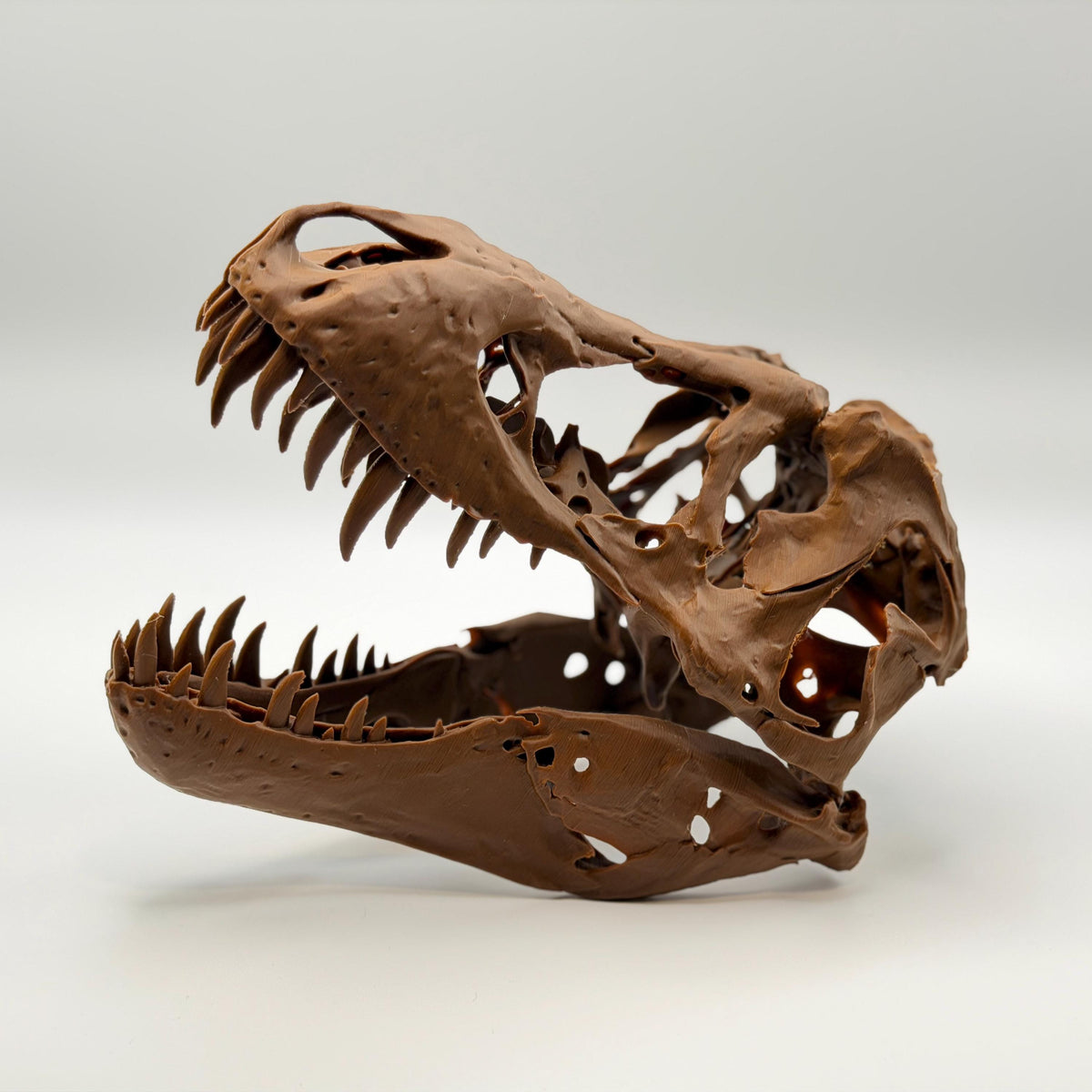 Stan T-Rex Skull Replica BHI 3033