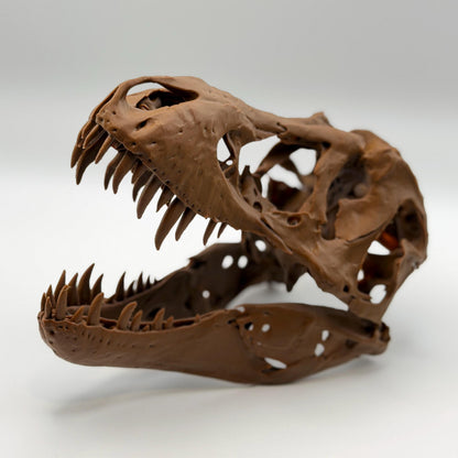 Stan T-Rex Skull Replica BHI 3033