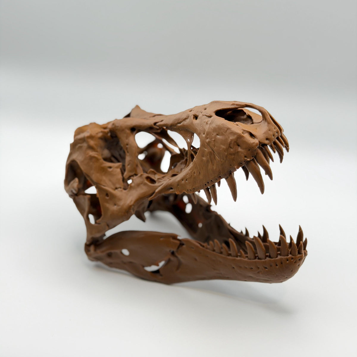 Stan T-Rex Skull Replica BHI 3033