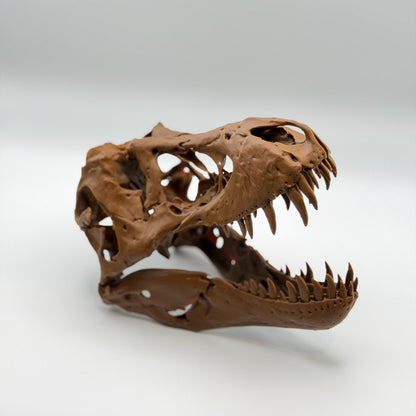 Stan T-Rex Skull Replica BHI 3033
