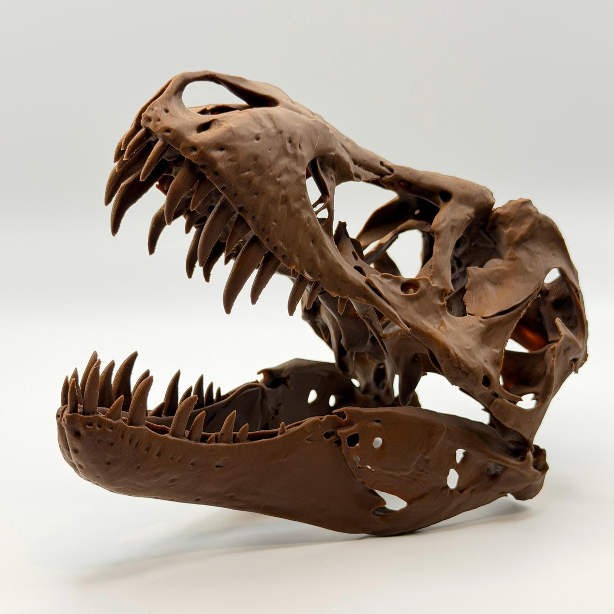 Stan T-Rex Skull Replica BHI 3033