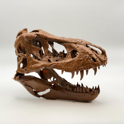 Trix T-Rex Skull Replica