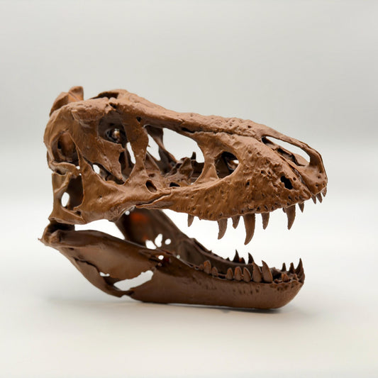 Trix T-Rex Skull Replica