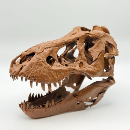 Trix T-Rex Skull Replica