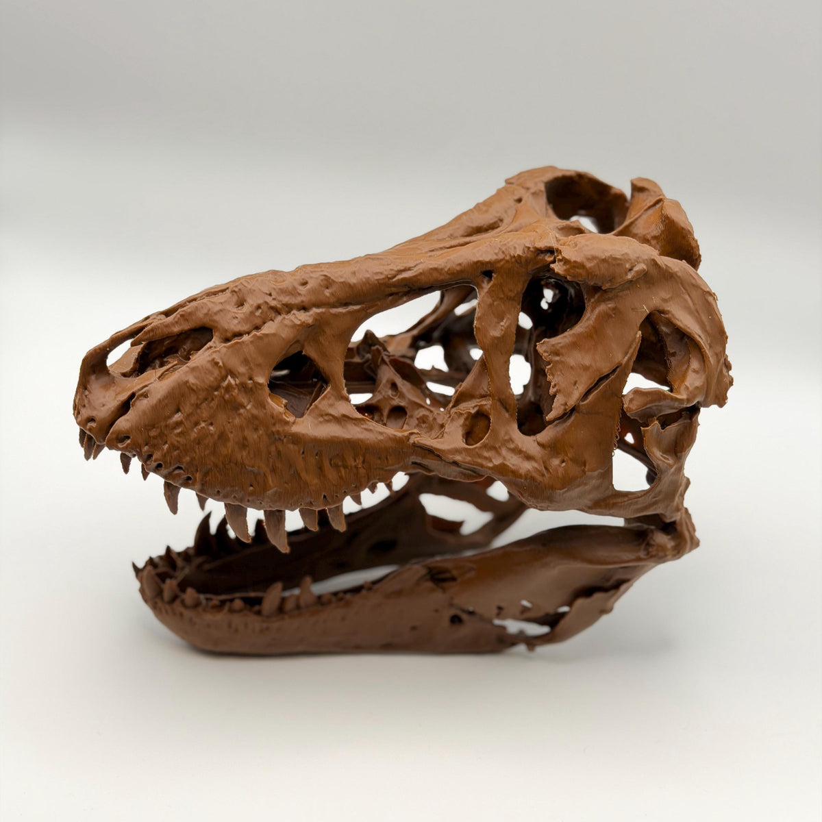 Trix T-Rex Skull Replica