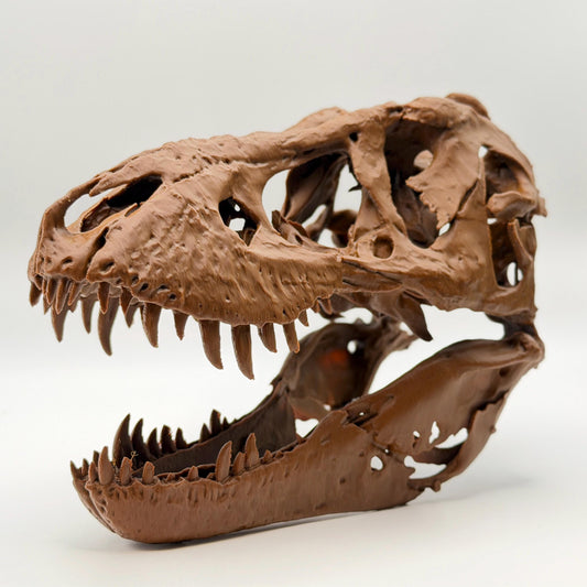 Trix T-Rex Skull Replica