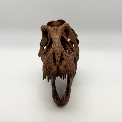 Trix T-Rex Skull Replica