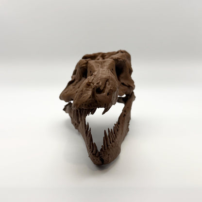 Sue T-Rex skull replica, sixth view