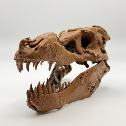 Sue T-Rex skull replica, eighth view