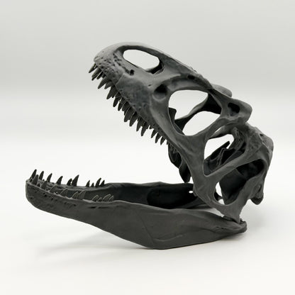 Allosaurus fragilis Skull Replica