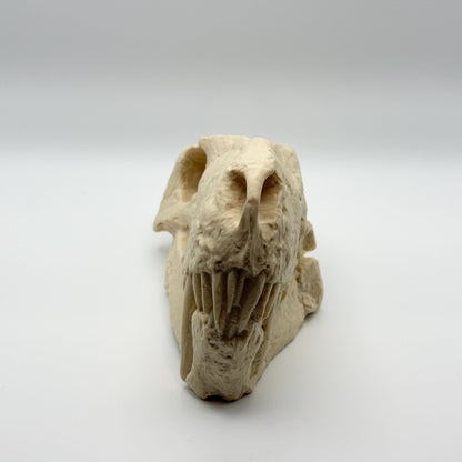 Inostrancevia skull replica colour options