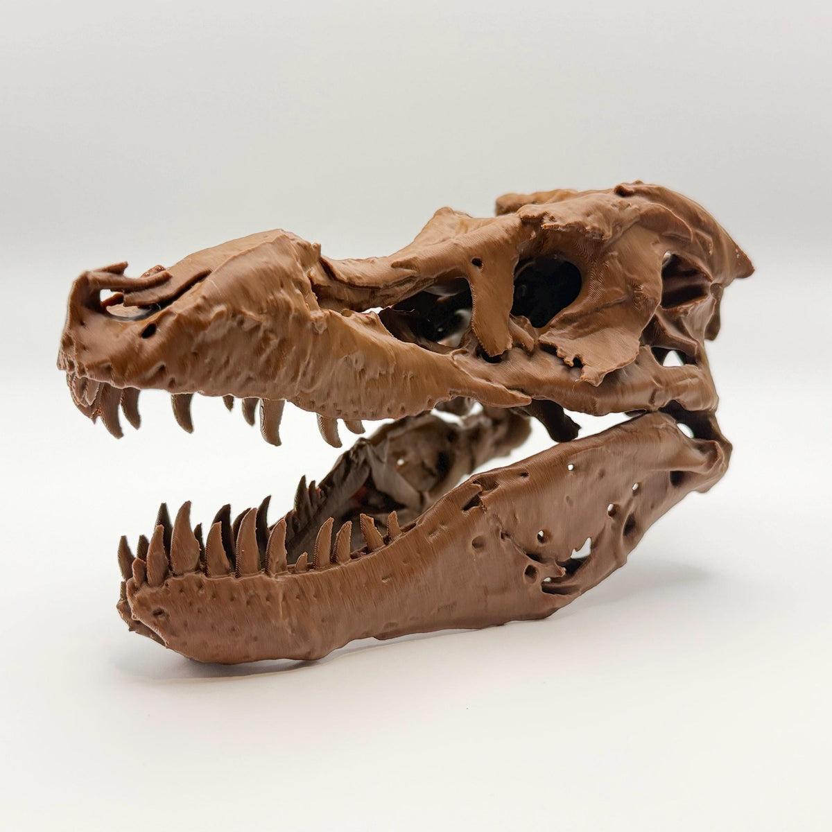 Sue T-Rex skull replica (FMNH PR 2081), 3D printed in PLA