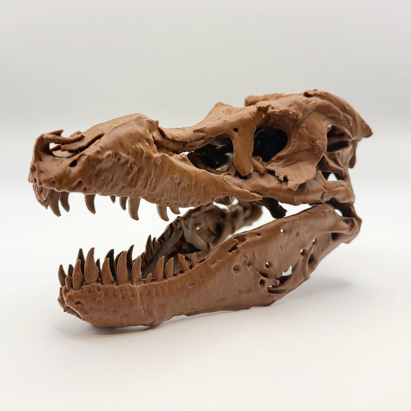 Famous specimens