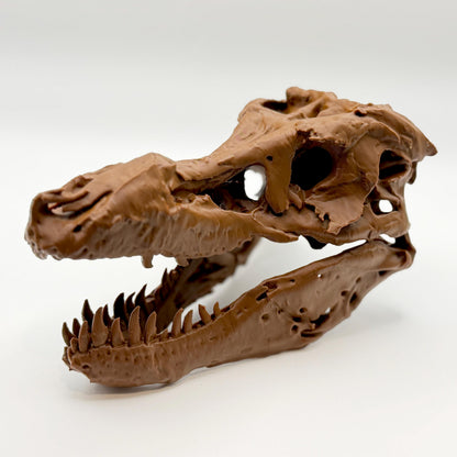 Sue T-Rex skull replica, ninth view
