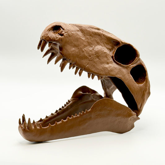 Dimetrodon skull replica, 3D printed in PLA