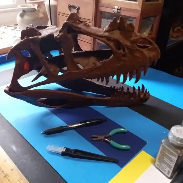 Customer photo of Ceratosaurus Skull Replica from Gary's Etsy review