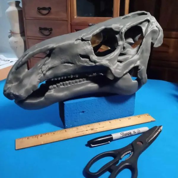 Customer photo of Iguanodon Skull Replica from Gary's Etsy review