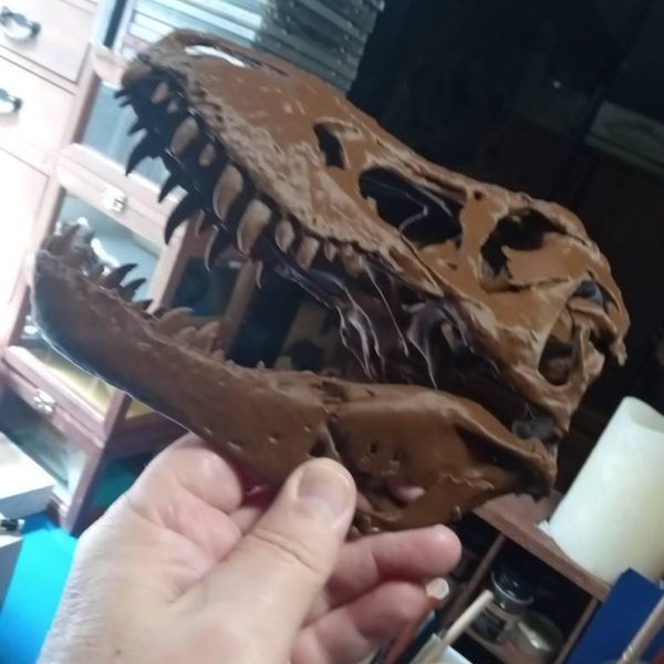 Customer photo of Trix T-Rex Skull Replica from Gary's Etsy review