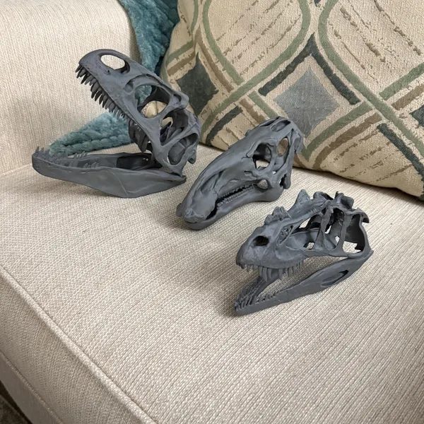 Customer photo of Allosaurus 7 inches, Ceratosaurus 6 inches, Iguanodon 7 inches, GREY from Henry's Etsy review