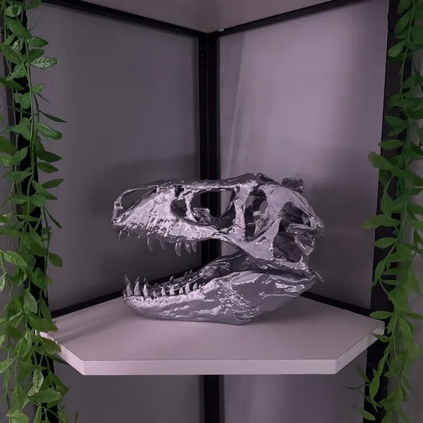 Customer photo of T-Rex Skull Replica from John's Etsy review