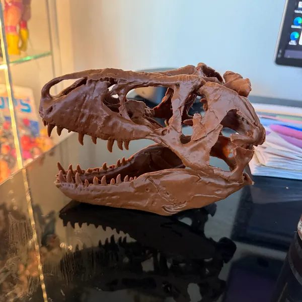 Customer photo of T-Rex Skull Replica from stacey's Etsy review