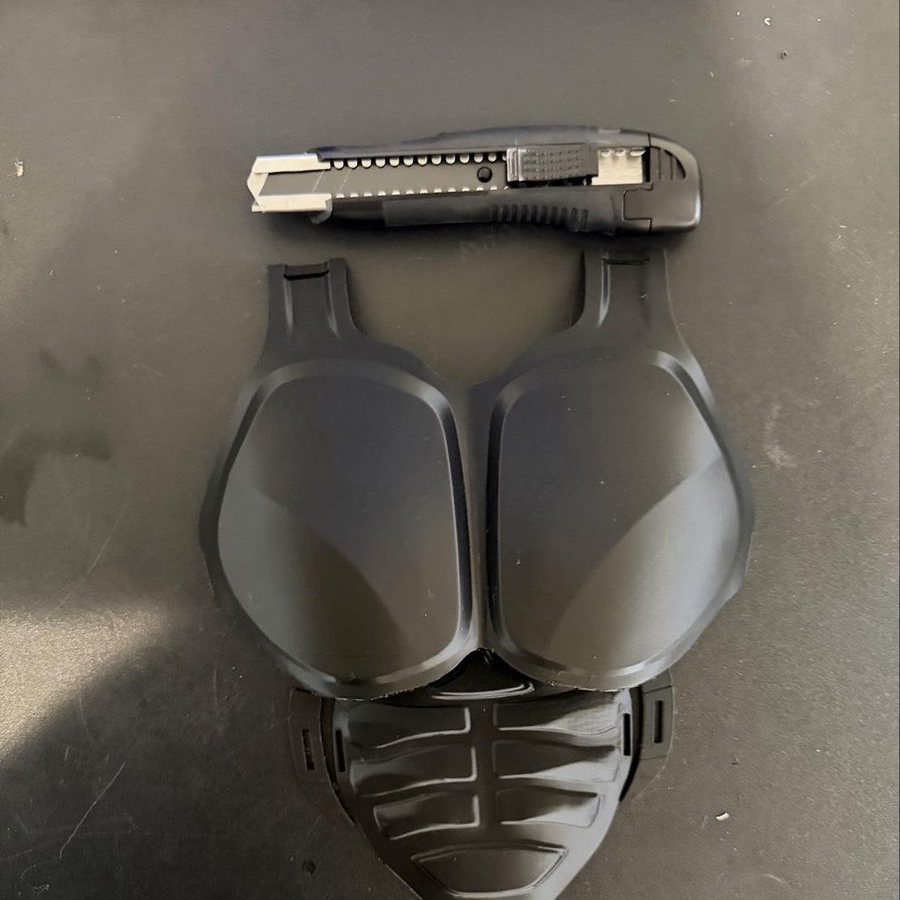 Photo of Body Armor Cosplay, a custom print job for Naive-Grocery-1179